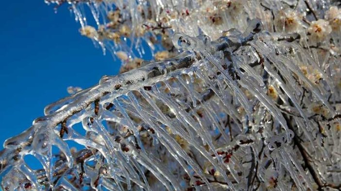 Meteoroloji'den Marmara için 'zirai don' uyarısı