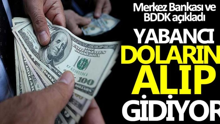 Merkez Bankası ve BDDK'dan açıklama geldi! Yabancı dolarını alıp gidiyor