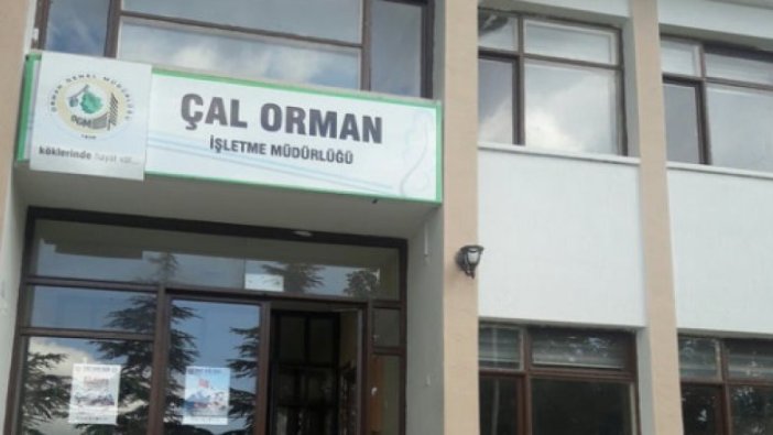 Çal Orman İşletme ilan verdi