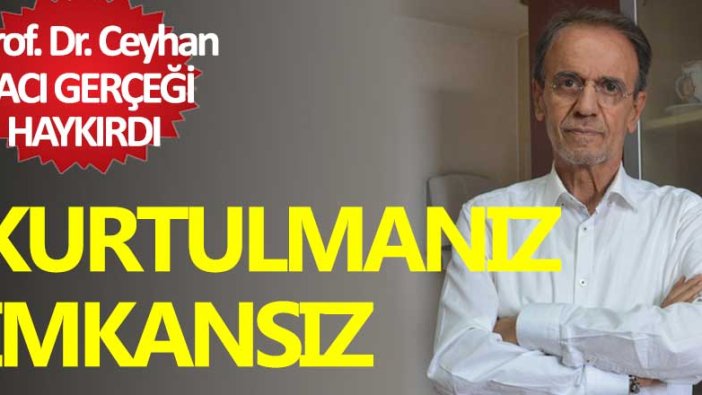 Prof. Dr. Ceyhan: İstanbul'da virüsü kapmama şansınız çok düşük