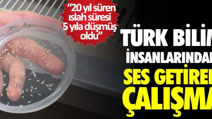 Türk bilim insanlarından ses getiren çalışma: 20 yıl süren ıslah süresi 5 yıla düşmüş oldu