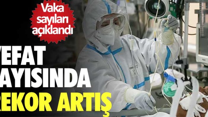 Korona virüs vaka sayıları açıklandı: 341 kişi hayatını kaybetti