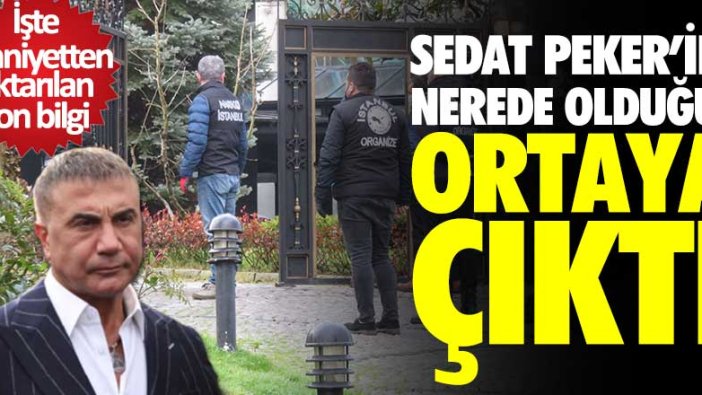 Sedat Peker'in nerede olduğu ortaya çıktı! İşte emniyetten aktarılan son bilgi