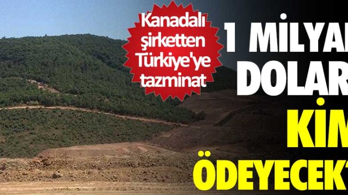 Kanadalı şirketten Türkiye'ye tazminat! 1 milyar doları kim ödeyecek