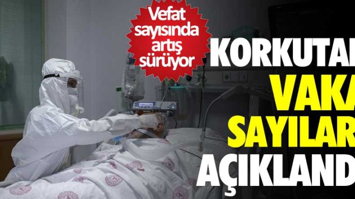 Korona virüs vaka sayıları açıklandı: 346 kişi hayatını kaybetti