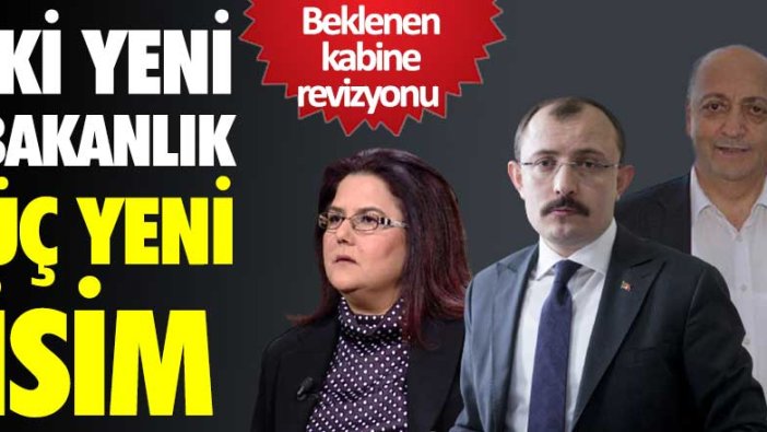 Kabine değişikliği Resmi Gazete'de yayınlandı