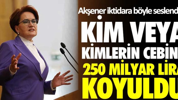 Meral Akşener iktidara böyle seslendi: Kim veya kimlerin cebine 250 milyar lira girdi