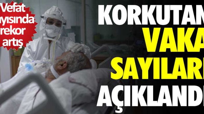 Korona virüs vaka sayıları açıklandı: 362 kişi hayatını kaybetti