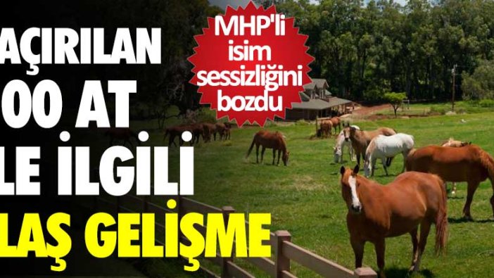 MHP'li Fadıl Keskin sessizliğini bozdu! Kaçırılan 100 at ile ilgili flaş gelişme