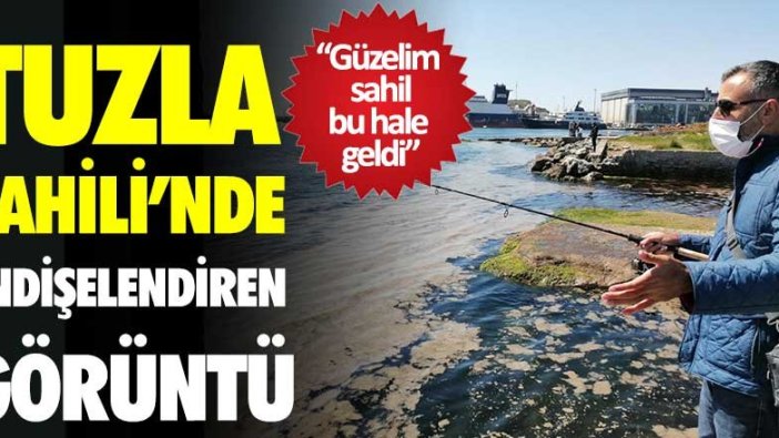 Tuzla Sahili'ni komple deniz salyaları kapladı! Endişelendiren görüntü