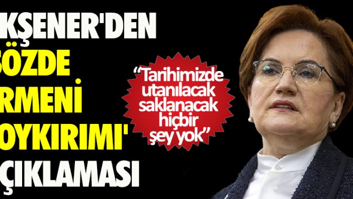 Akşener'den 'Sözde Ermeni soykırımı' açıklaması