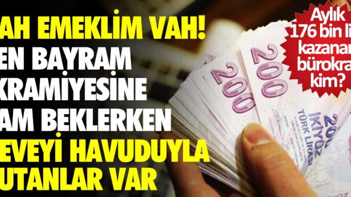 Vah emekli vah... Sen bayram ikramiyesine zam beklerken deveyi havuduyla yutanlar var! Aylık 176 bin lira kazanan bürokrat kim?