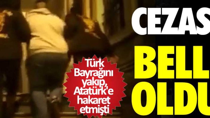 Türk Bayrağını yakıp, Atatürk'e hakaret etmişti! Cezası belli oldu