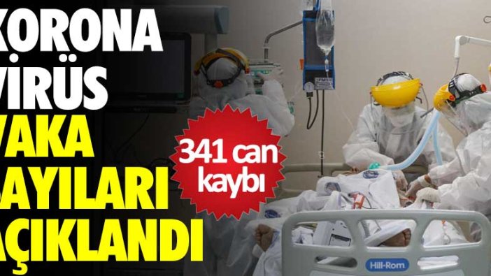 Korona virüs vaka sayıları açıklandı: 341 kişi hayatını kaybetti