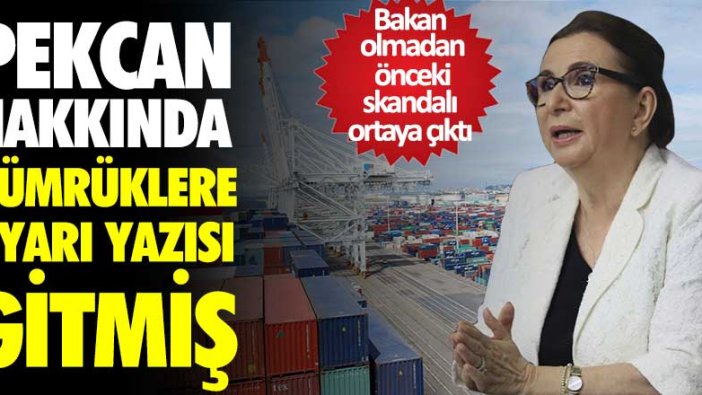 Ruhsar Pekcan hakkında gümrüklere uyarı yazısı gitmiş! Bakan olmadan önceki skandalı ortaya çıktı