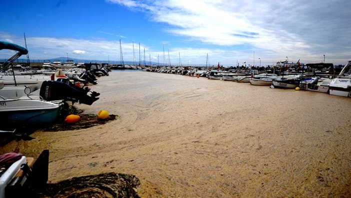 Marmara Denizi'ni deniz salyası esir aldı! Tehdit gittikçe büyüyor