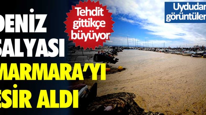 Marmara Denizi'ni deniz salyası esir aldı! Tehdit gittikçe büyüyor