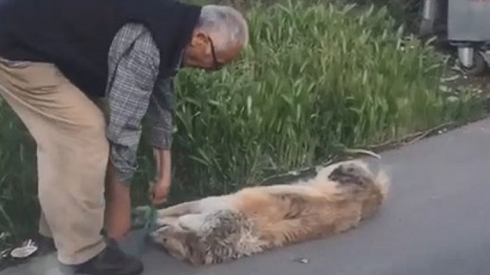 Sarıyer'de köpeğini silahla vurarak öldürdüğü iddia edilen kişi gözaltına alındı.