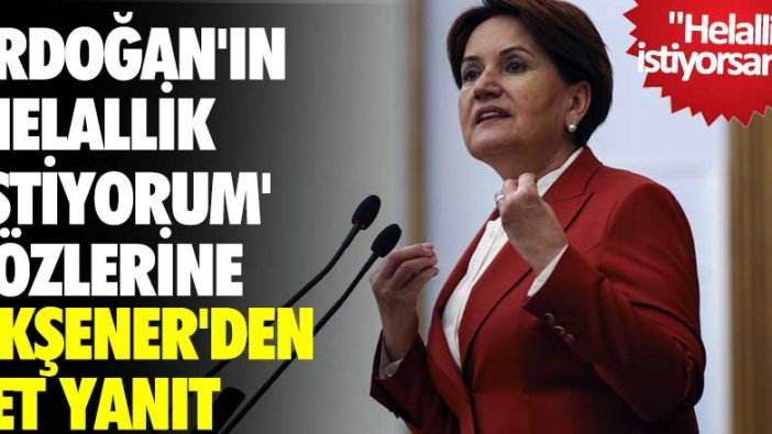 Erdoğan'ın helallik sözlerine Meral Akşener'den jet yanıt: Getir sandığı helalleşelim