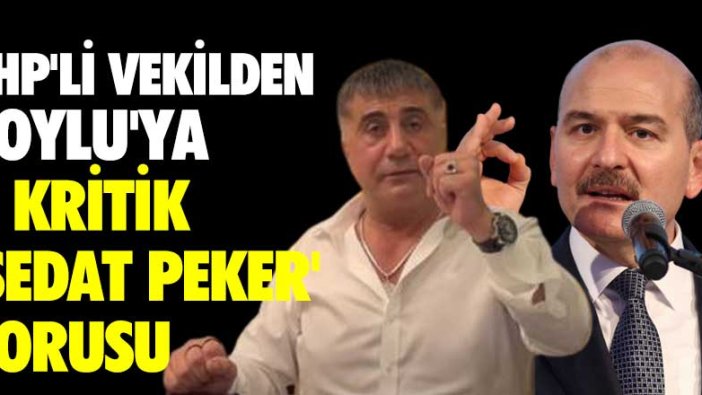 CHP'li Süleyman Bülbül'den Süleyman Soylu'ya 8 kritik Sedat Peker sorusu