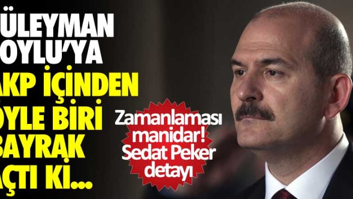 Sedat Peker'e yakınlığıyla biliniyordu! Süleyman Soylu'ya AKP içinden öyle biri bayrak açtı ki...