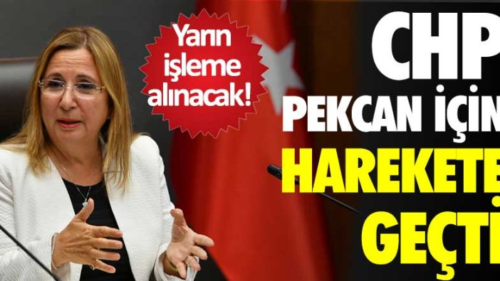 CHP Ruhsar Pekcan için harekete geçti! Yarın işleme konulacak 