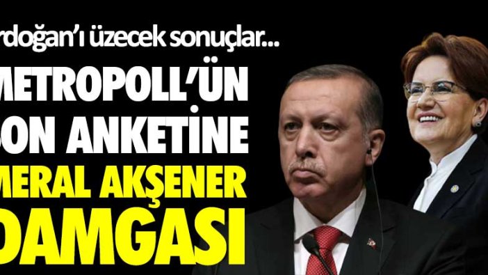 MetroPOLL'ün son anketine Meral Akşener damgası! Erdoğan'ı üzecek sonuçlar 