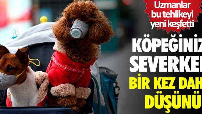 Köpeğinizi severken bir kez daha düşünün! Uzmanlar bu tehlikeyi yeni keşfetti