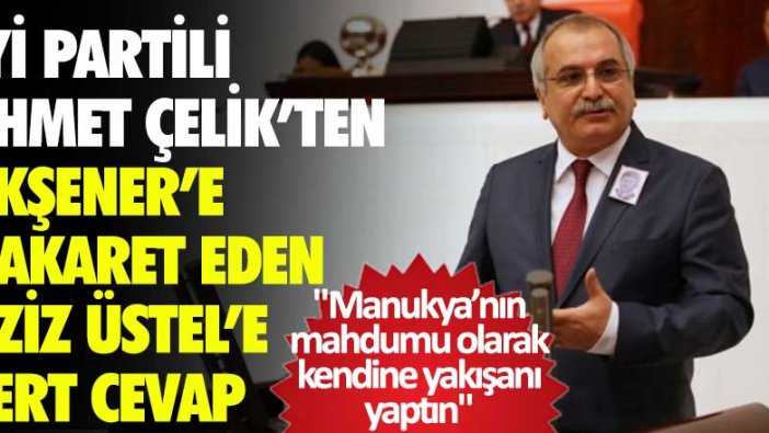 İYİ Parti Milletvekili Ahmet Çelik’ten Akşener’e hakaret eden Aziz Üstel’e sert cevap