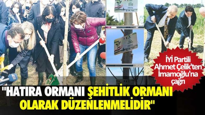 İYİ Partili Ahmet Çelik'ten İmamoğlu'na çağrı: Hatıra ormanı şehitlik ormanı olarak düzenlenmelidir