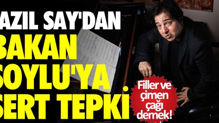 Fazıl Say'dan Bakan Soylu'ya sert tepki: Filler ve çimen çağı demek