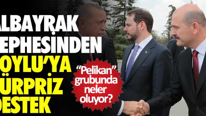 Pelikan grubunda neler oluyor? Berat Albayrak cephesinden Süleyman Soylu'ya sürpriz destek