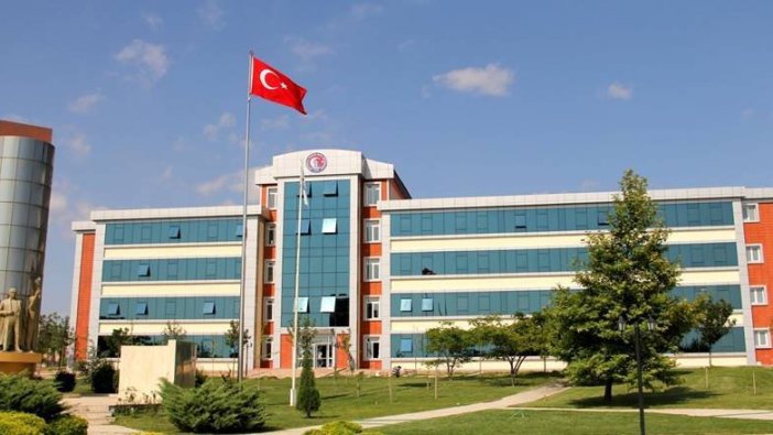 74 Öğretim Üyesi alıyor