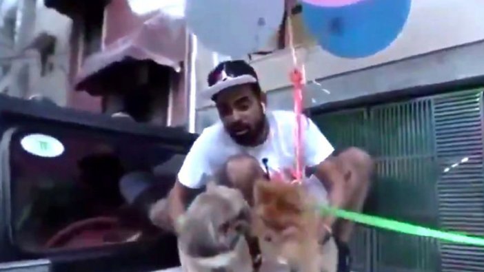 Köpeğini balonlarla uçurmaya çalıştı