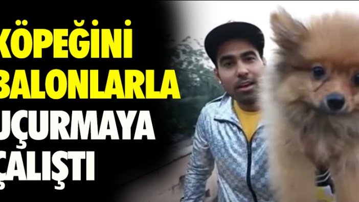 Köpeğini balonlarla uçurmaya çalıştı