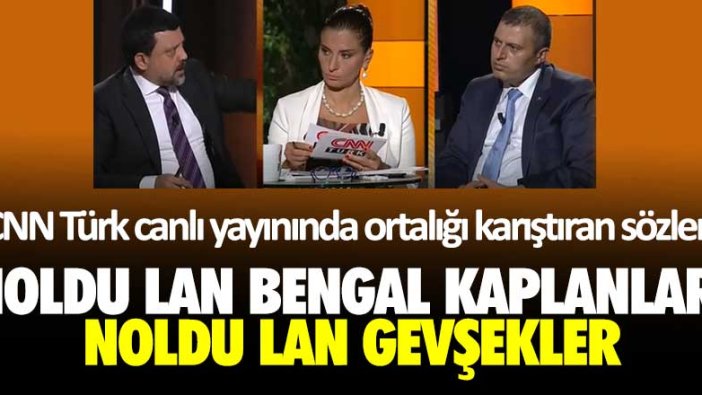 CNN Türk canlı yayınında ortalığı karıştıran sözler: Noldu lan bengal kaplanları, noldu lan gevşekler