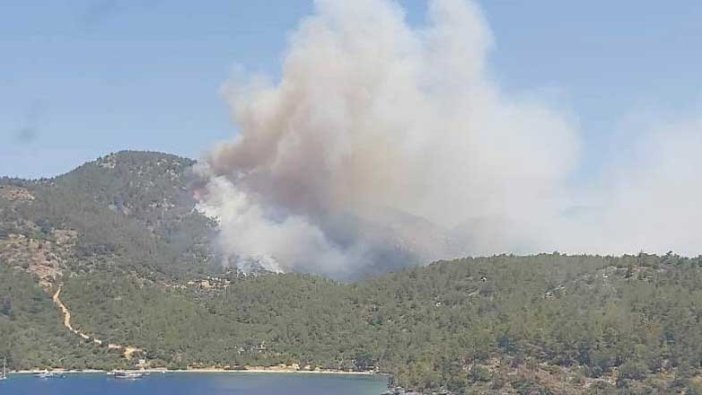 Muğla'da orman yangını