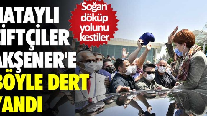 Soğan döküp yolunu kestiler... Hataylı çiftçiler Meral Akşener'e böyle dert yandı