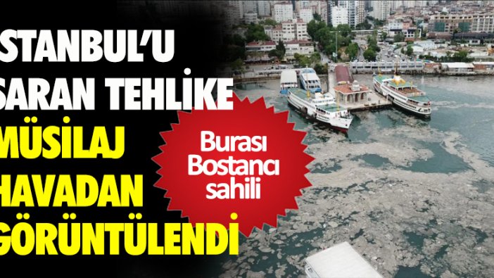 Bostancı'da müsilaj havadan görüntülendi