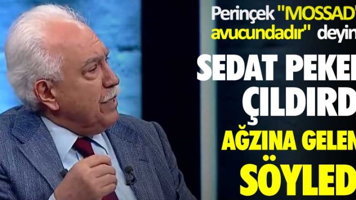 Doğu Perinçek "CIA ve MOSSAD'ın avucundadır" deyince Sedat Peker çıldırdı, ağzına geleni söyledi