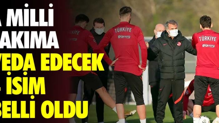 A Milli Takım'a veda edecek 4 isim belli oldu