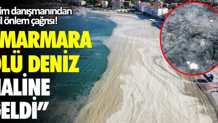 Bilim Danışmanı Dr. Erol Kesici'den acil önlem çağrısı: "Marmara ölü deniz haline geldi"