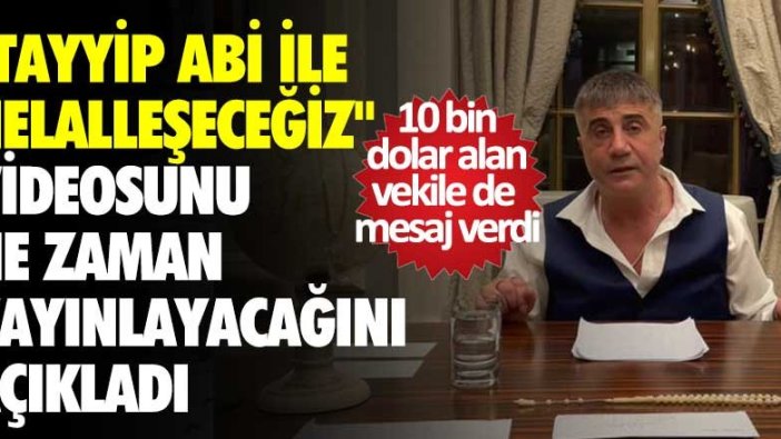 Sedat Peker, "Tayyip Abi ile Helalleşeceğiz" videosunu ne zaman yayınlayacağını açıkladı