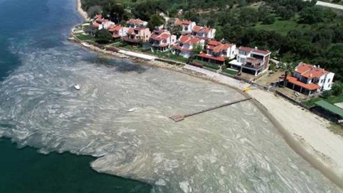 Uzmanlardan korkutan uyarı! Deniz salyası yeni bir salgına mı yol açacak?