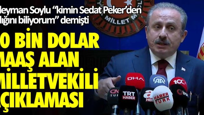 Son dakika... TBMM Başkanı Mustafa Şentop Sedat Peker'den 10 bin dolar maaş alan milletvekili hakkında flaş açıklama