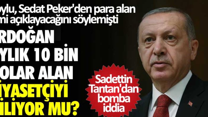 Süleyman Soylu, Sedat Peker'den para alan ismi açıklayacağını söylemişti! Erdoğan 10 bin dolar alan siyasetçiyi biliyor mu?