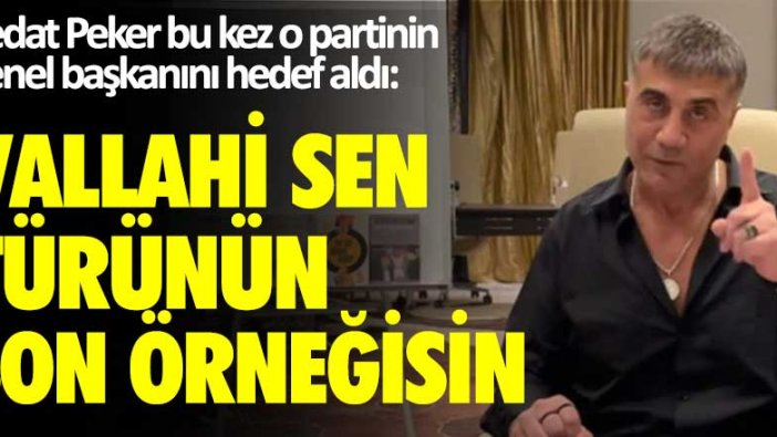Sedat Peker bu kez o partinin genel başkanını hedef aldı: Vallahi sen türünün son örneğisin
