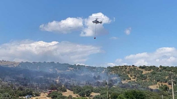 İzmir'de makilik alandan alevler yükseldi!