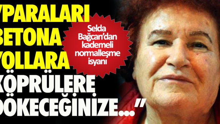 Selda Bağcan: Paraları betona, yollara, köprülere dökeceğinize...