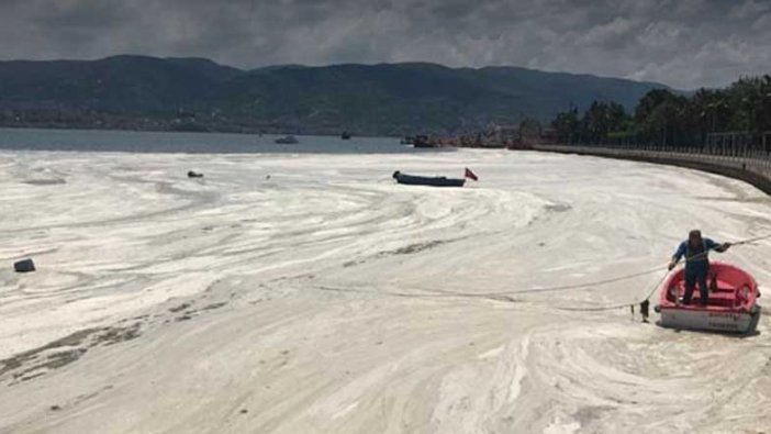 Marmara Denizi'ni saran müsilaj kabusundan nasıl kurtulacağız?